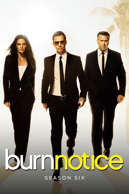Burn Notice S06