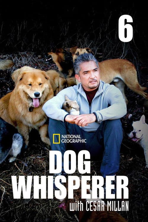 Dog Whisperer S06