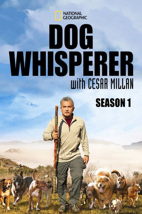 Dog Whisperer S01