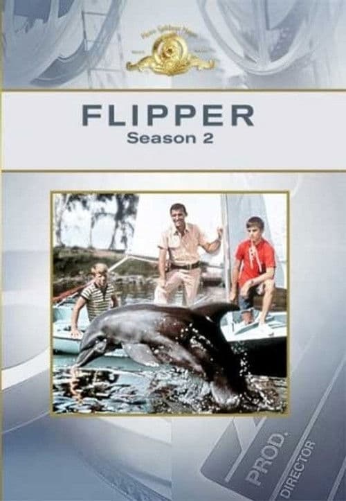 Flipper S02