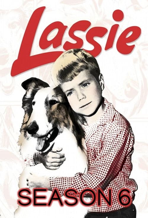 Lassie S06