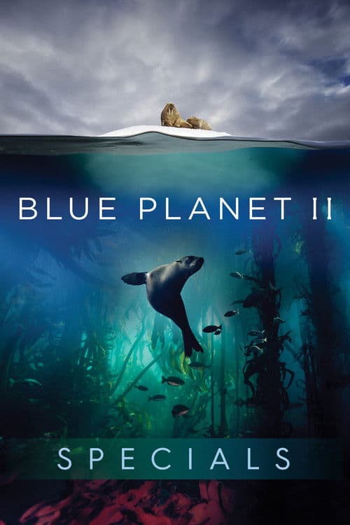 Blue Planet II SP