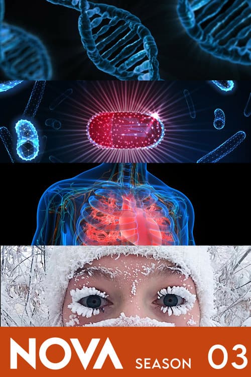 NOVA S03