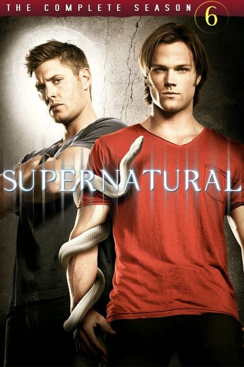Supernatural S06