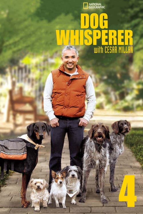 Dog Whisperer S04
