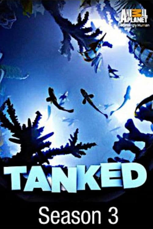 Tanked S03