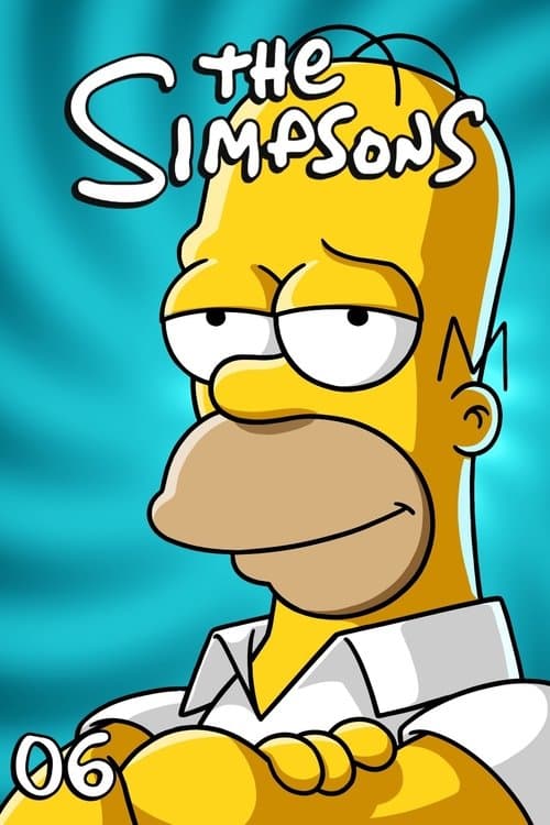 The Simpsons S06
