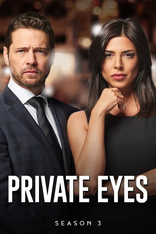 Private Eyes S03