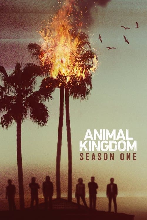 Animal Kingdom S01