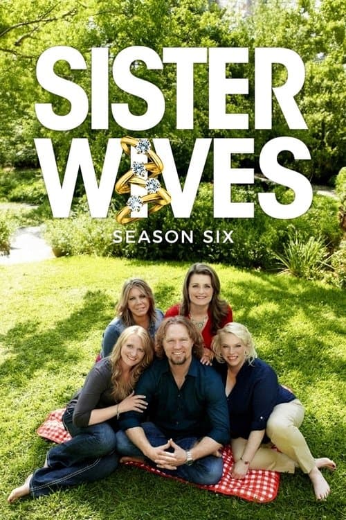 Sister Wives S04
