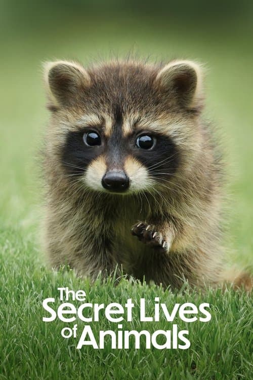 The Secret Lives of Animals S01