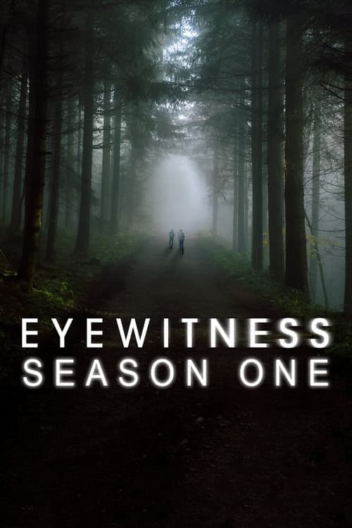 Eyewitness S01