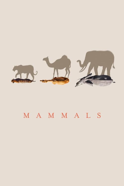 Mammals S01