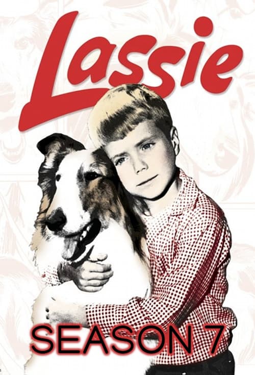 Lassie S07