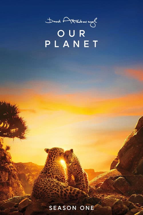 Our Planet S01