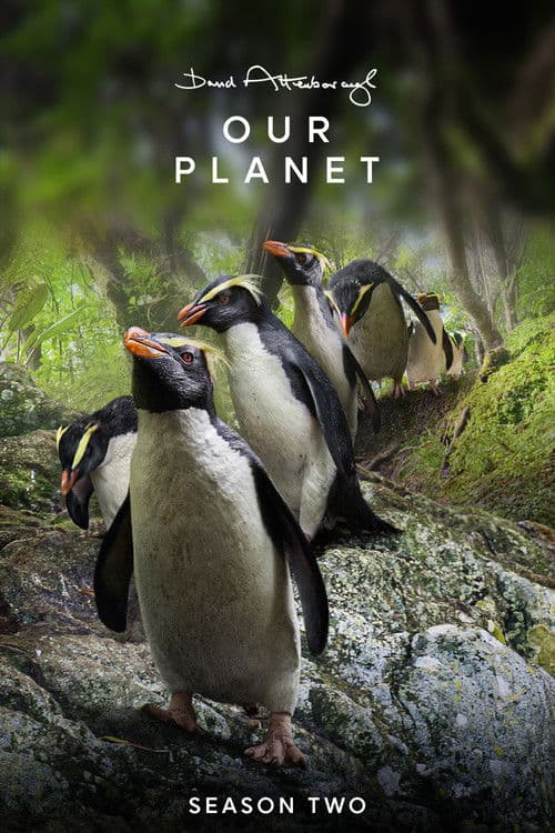 Our Planet S02