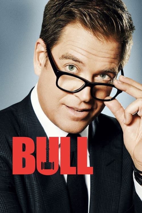 Bull S03