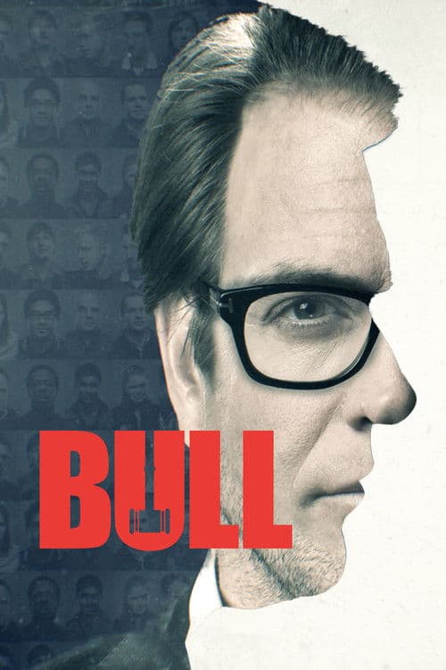 Bull S01