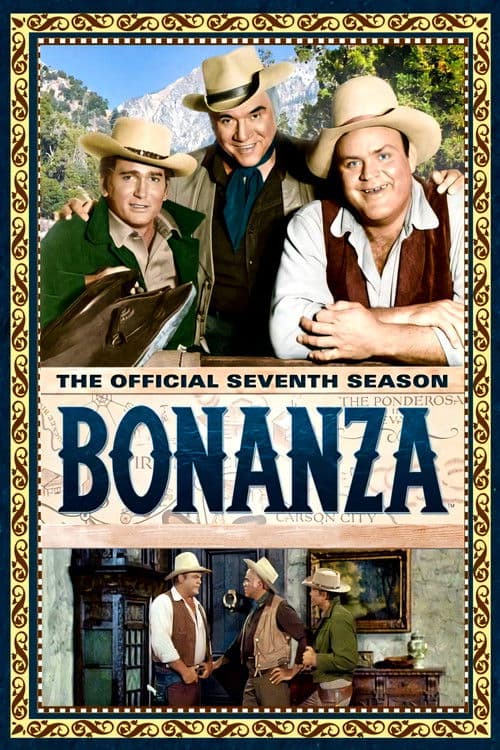 Bonanza S07