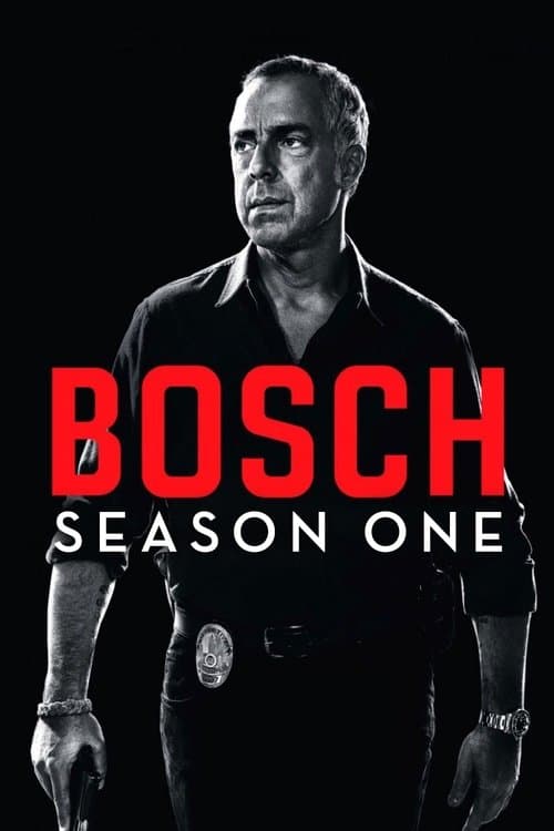 Bosch S01