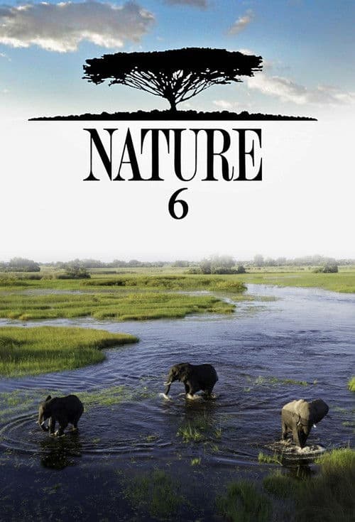 Nature S06