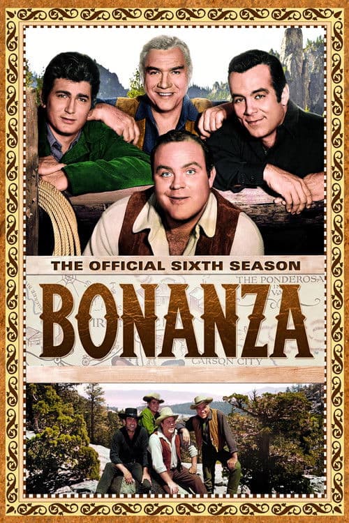 Bonanza S06