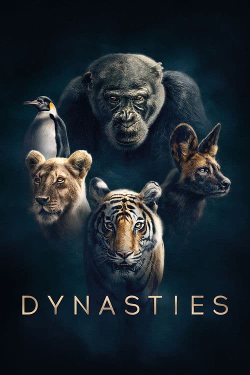Dynasties S01