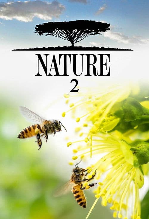 Nature S02