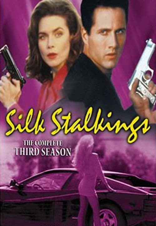 Silk Stalkings S03