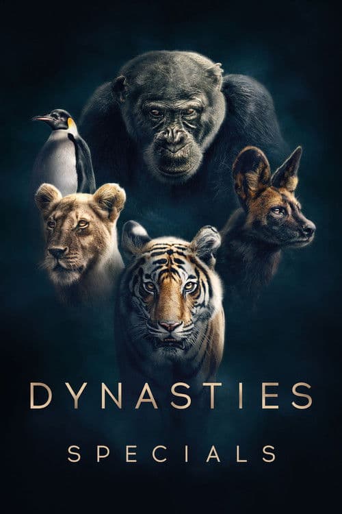 Dynasties SP