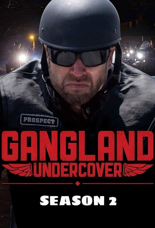 Gangland Undercover S02