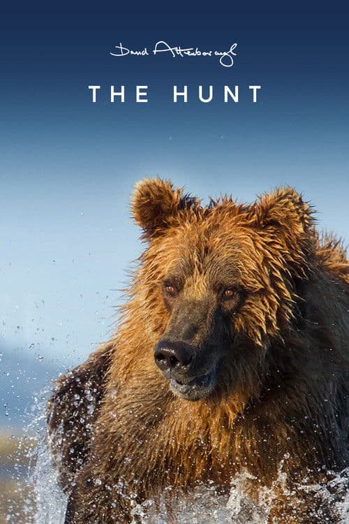 The Hunt S01