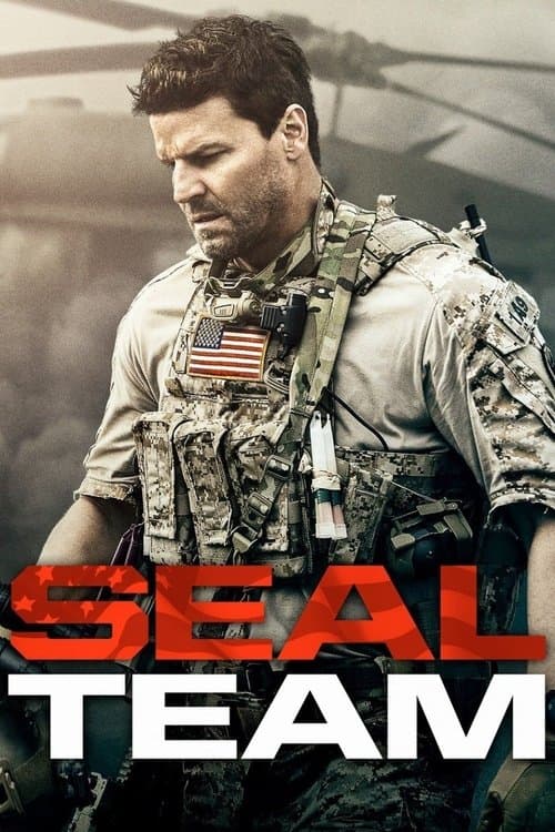 SEAL Team S01