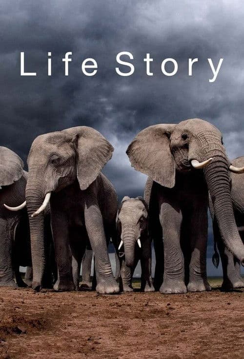 Life Story S01