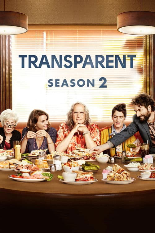 Transparent S02