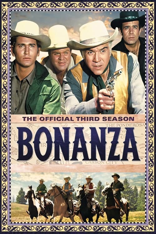 Bonanza S03