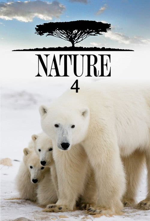 Nature S04