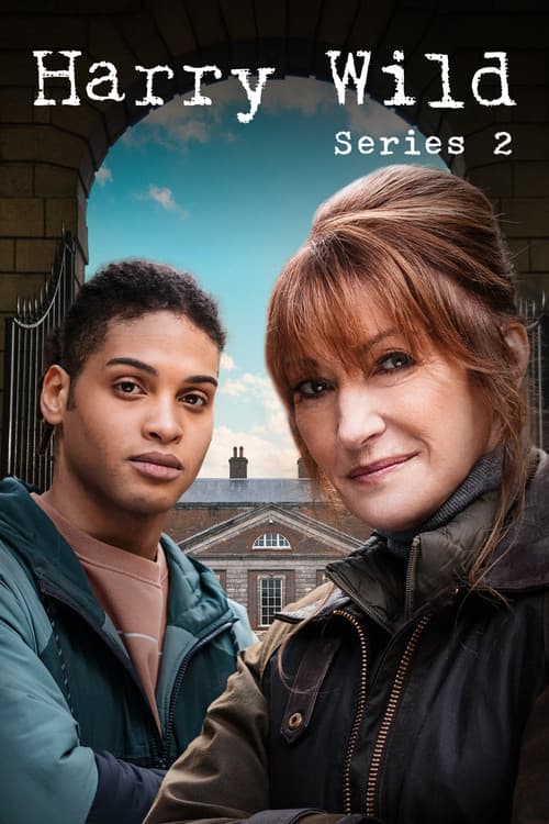 Harry Wild S02