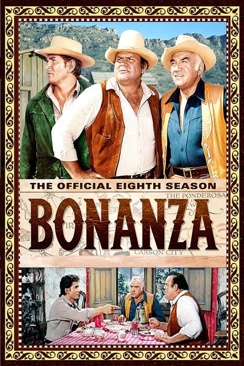 Bonanza S08