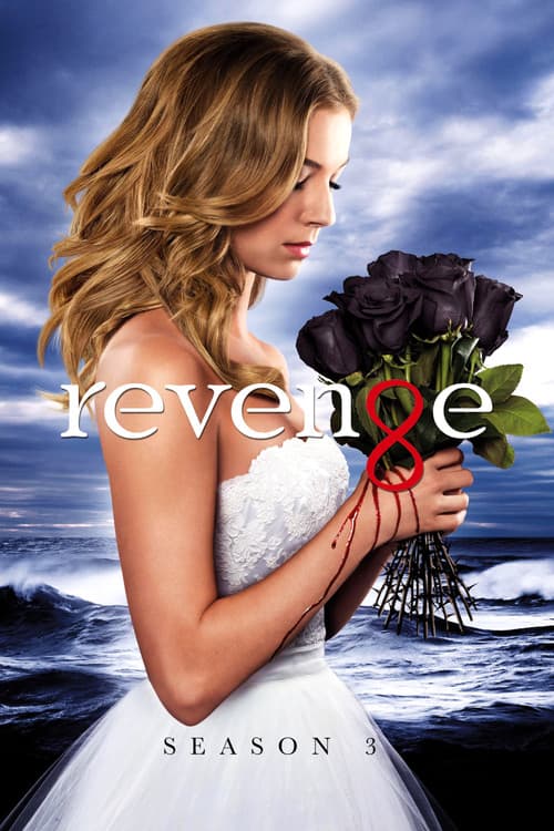 Revenge S03