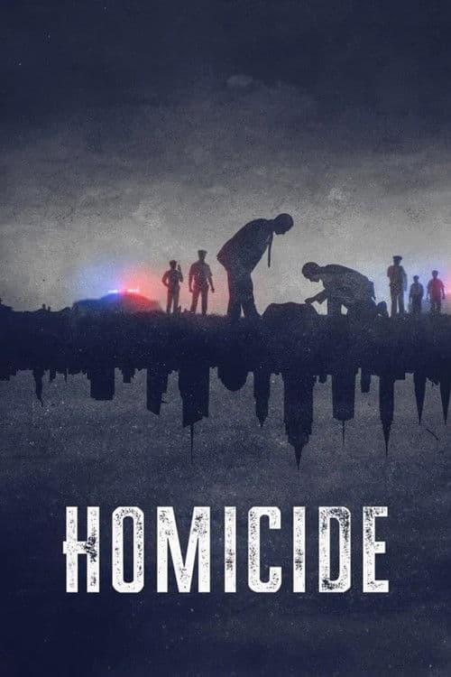 Homicide S03