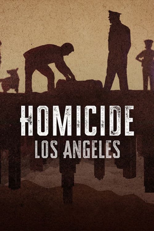 Homicide S02